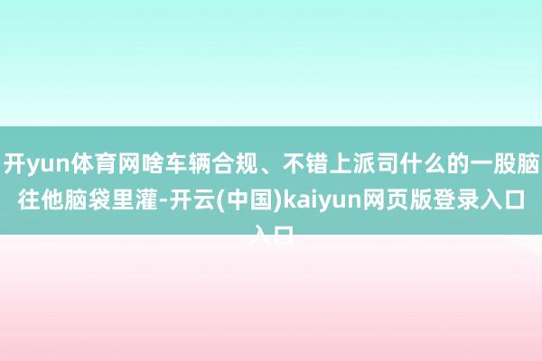 開yun體育網啥車輛合規、不錯上派司什么的一股腦往他腦袋里灌-開云(中國)kaiyun網頁版登錄入口